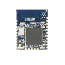 SKYLAB 2020 hot sale  New arrival remote control long range nRF52840 chipset  Bluetooth module